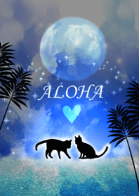 Happy Cat and Night Summer.