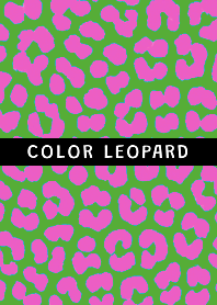COLOR LEOPARD THEME @46