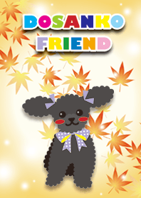 RUBY&FRIEND [toy poodle/Black] Autumn