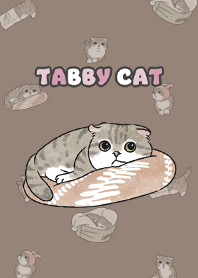 tabbycat10 / brown
