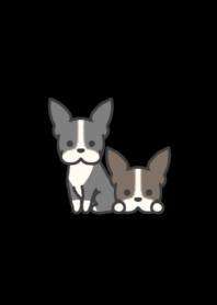 Boston Terrier darkmode theme