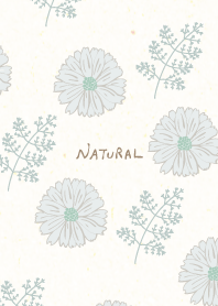 Dull color flowers and leaves from Japan