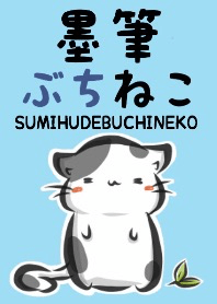 "kanji" bicolor cat (From japan)
