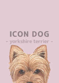 ICON DOG - Yorkshire terrier - PK/05