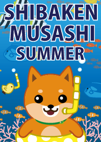 柴犬「ムサシ」夏
