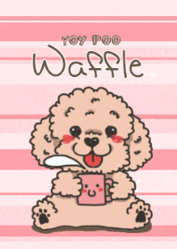 toypoo waffle