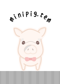 minipig-てん