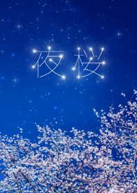 Starry sky and cherry blossoms