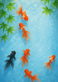 金運急上昇↑夏の金魚