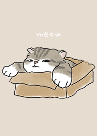 neko drawing1 / almond