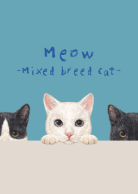 Meow -Mixed breed cat 02- TURQUOISE BLUE