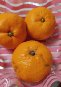 MIKANKANKAN