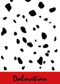Dalmatian -Red 2-