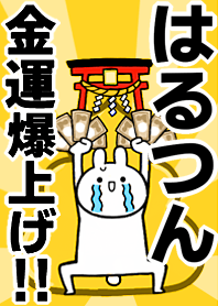 Fortune rise rabbit[Haru-tun]