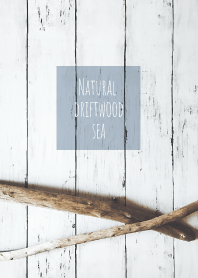 Natural driftwood_sea_01