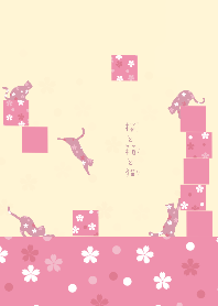 Cherry blossoms, boxes and cats