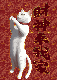 บูชาแมว-พระเจ้ามาที่บ้านของฉัน3