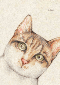 Tabby's daily 01