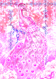The Pink Peacock of Love