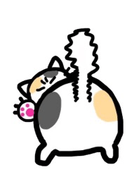 Pritty cats buttocks.Simple white vr