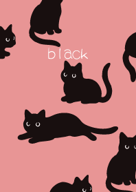 Round Black Cat3 on light pink