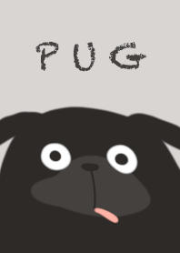 Cute Black Pug