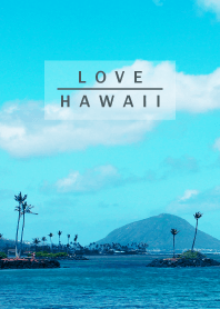 I LOVE HAWAII.MEKYM 32