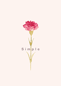 simple Carnation bouquet -ivory-