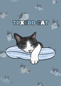 tuxedocat4 / pale denim