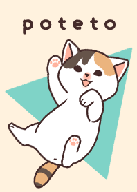 Calico cat Poteto