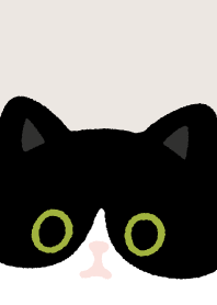 Tuxedo cat and Black cat6