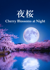 夜桜 vol.5