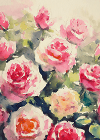 Beautiful rose flower(R4365)