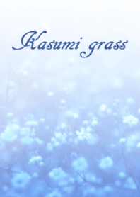 Kasumi grass(overseas edition)