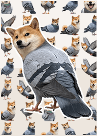 Shiba pigeon Beige