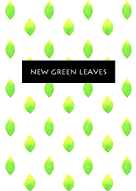 new green leaves