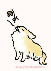 Singing Dog-Chihuahua(fawn)-