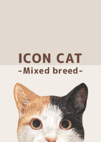 ICON CAT - Mixed breed cat - BROWN/04