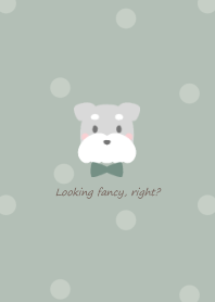 Schnauzer and ribbon -green- 2 GR