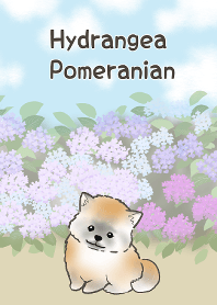 Hydrangea dan Pomeranian.
