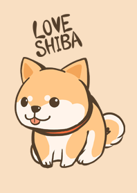 Chubby Shibainu