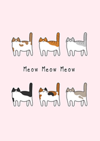 私の猫の親友(ピーチパウダー)