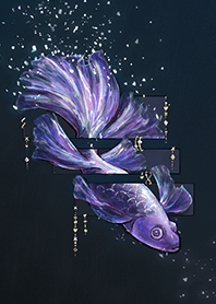 水鏡微光