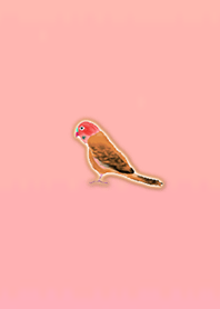 Simple lucky parakeet 9