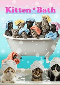 새끼 고양이 목욕