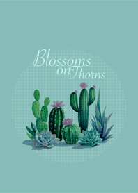 Blossoms on Thorns (DG)