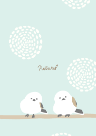 Long-tailed Tit circle17 from Japan