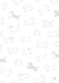 น้องหมาน่ารักวิ่ง1