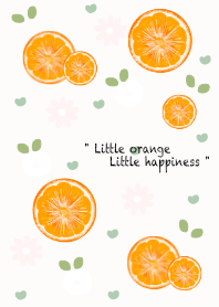 Fresh sliced orange 13