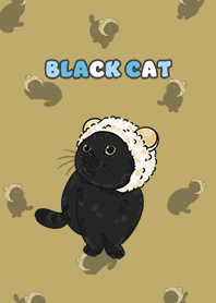 blackcat5 - ginger